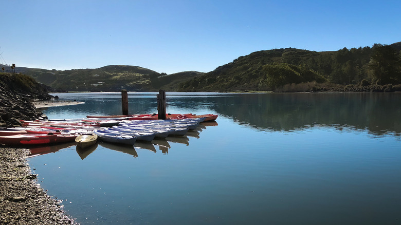 Kayaks on Russian River