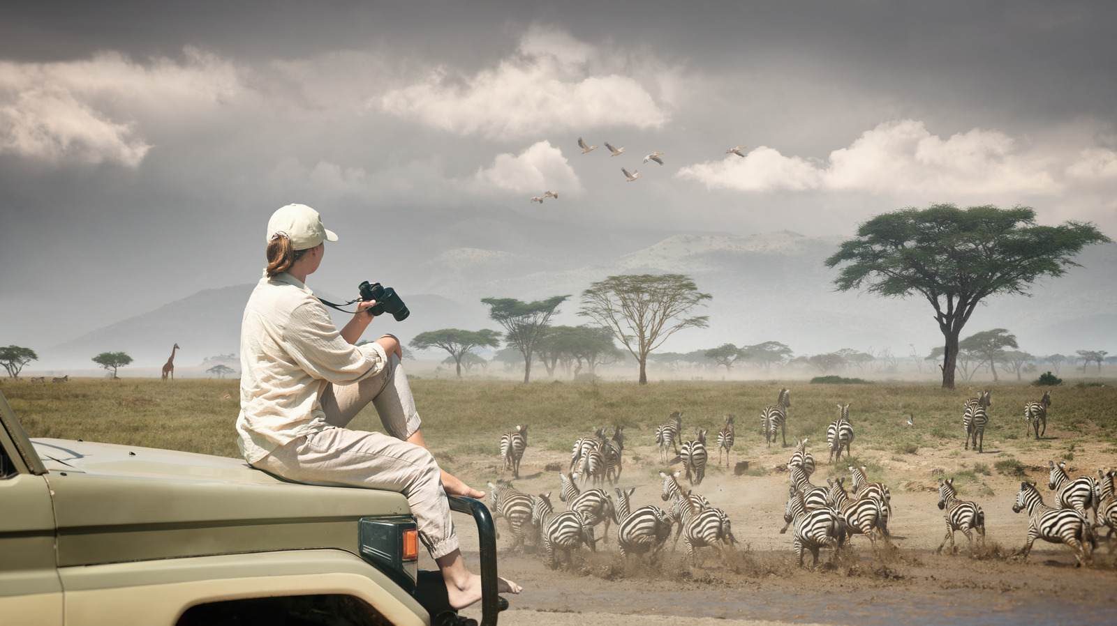 is safari better in kenya or south africa