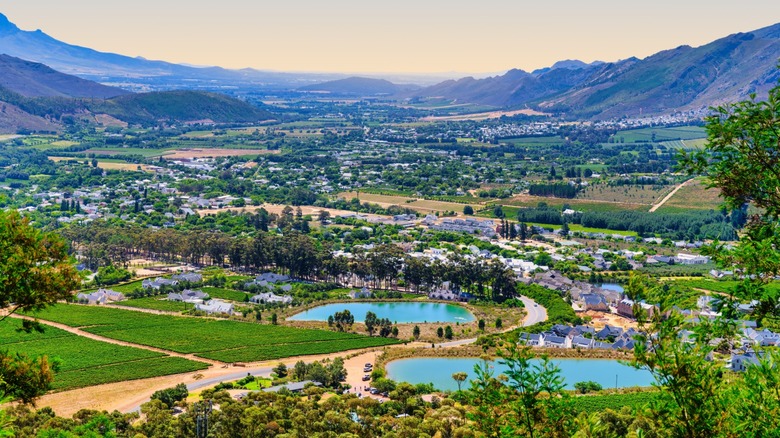 Aerial shot of Franschhoek town