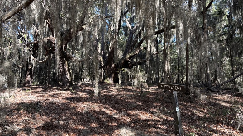 The Larry Paul Trail in Sandy Island Preserve on Sandy Island, South Carolina