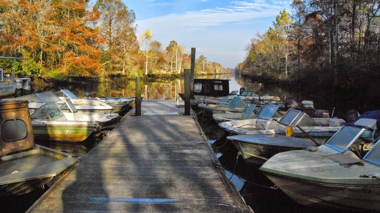boats docked at Sandy Island Landing, where tours to Sandy Island depart, in South Carolina