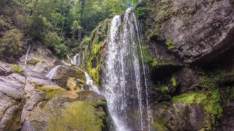 a waterfall running down rocks covered in green moss surrounded by trees