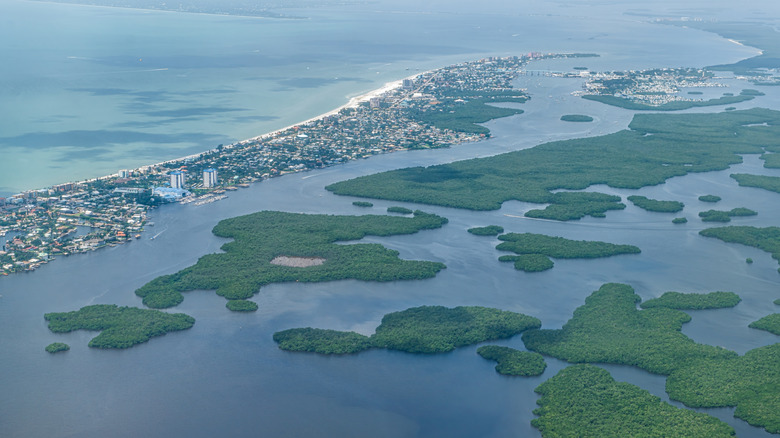 An aerial view of Estero Bay Preserve State Park and Fort Myers Beach