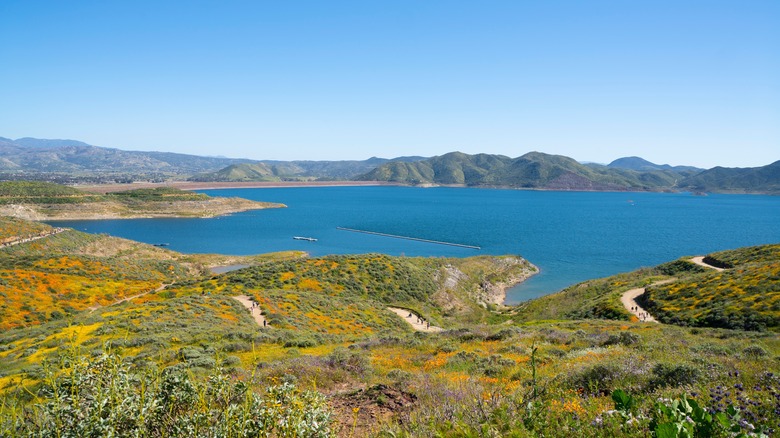 Lake and fields of wildflowers with mountains in distance