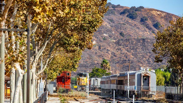 Historic trains surrounded by colorful trees and mountains