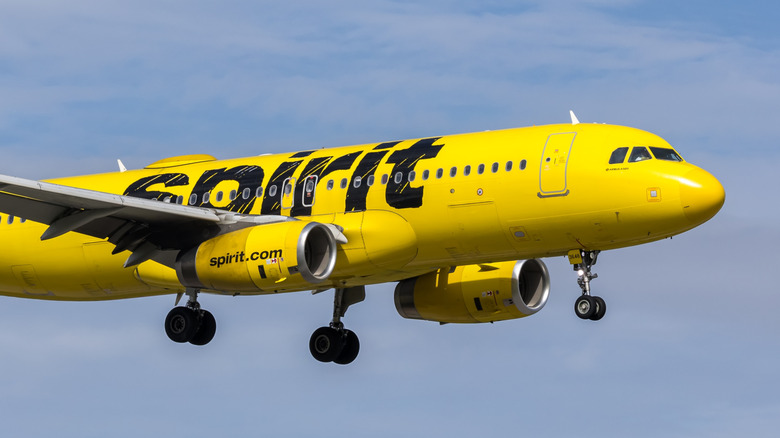 Spirit Airlines Airbus A320 in the sky