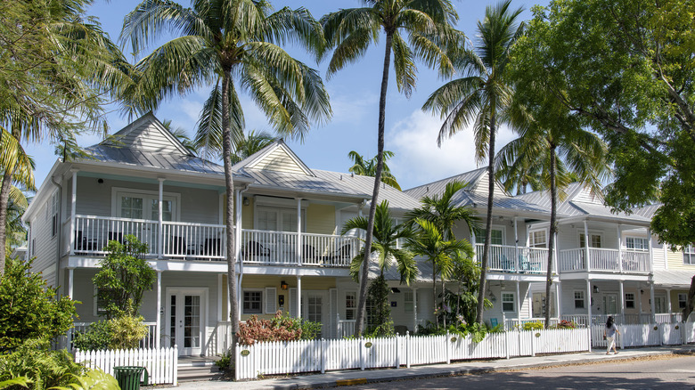 A row of historic homes in Key West, Florida on a palm tree lined street