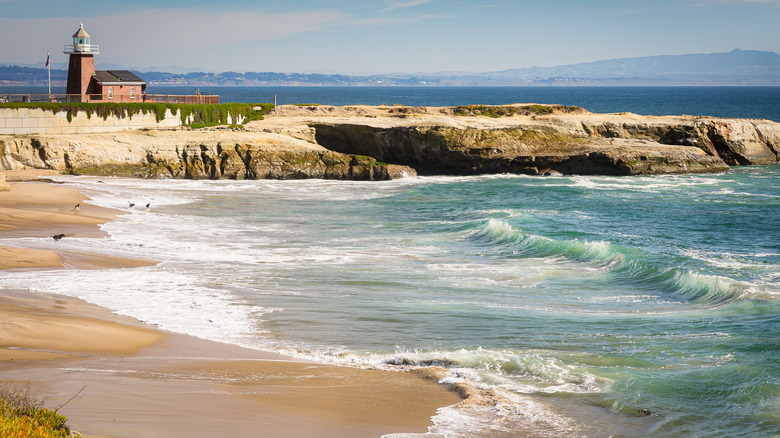 Lighthouse Field State Beach, Santa Cruz, California