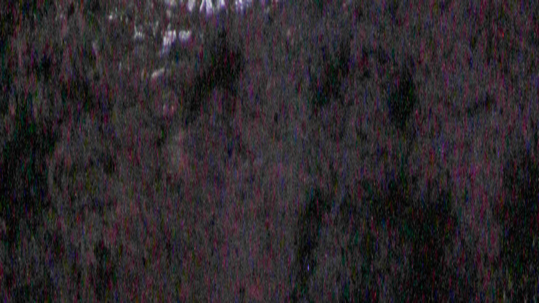 Camping under the stars at Dry Tortugas National Park