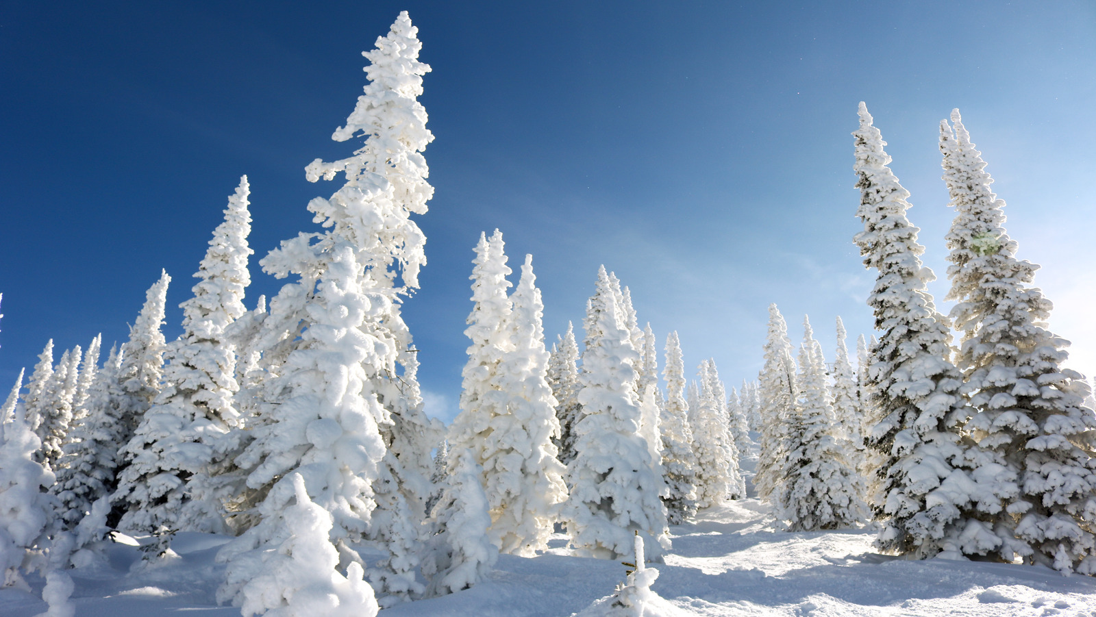 Steamboat Springs, Colorado Is The Ideal Winter Sports Destination