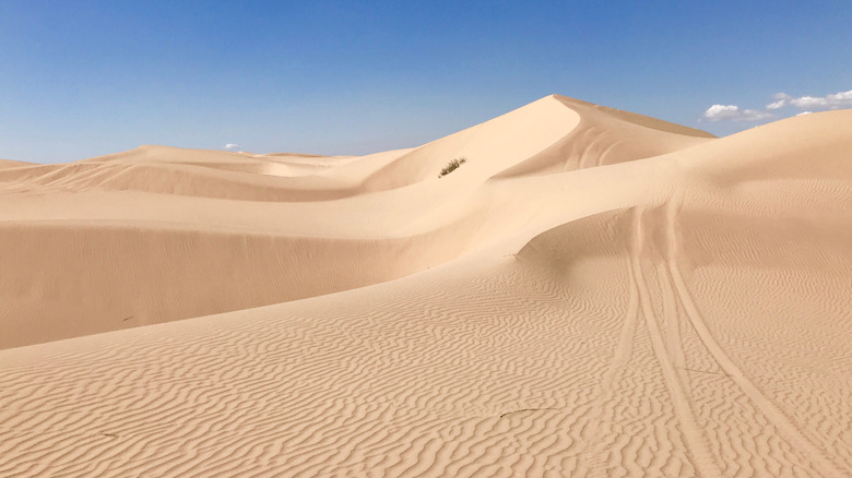 imperial sand dunes california