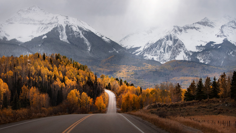 highway through the rocky mountains