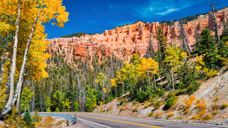 Road under golden trees and red rock cliff