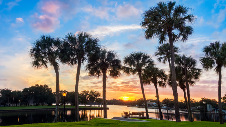 Sunset in Tarpon Springs, Florida