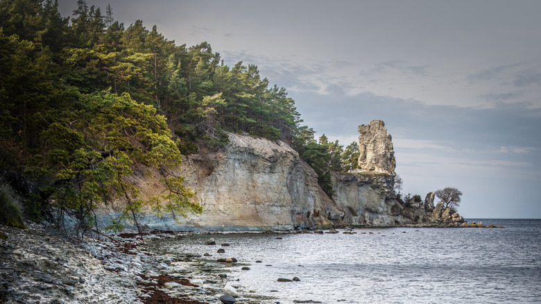 Rocky beach and cliffs overlooking the sea on Gotland Island
