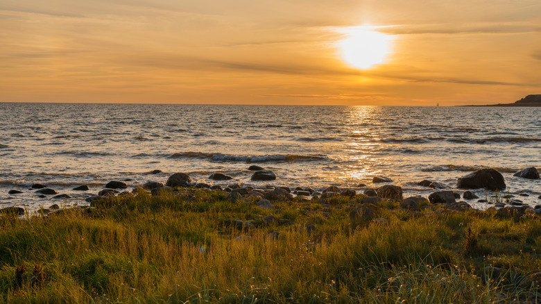 Grassy, rocky coastline on Gotland at sunset