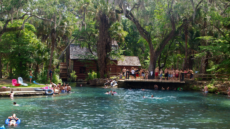 people swimming, standing over the water, lush trees