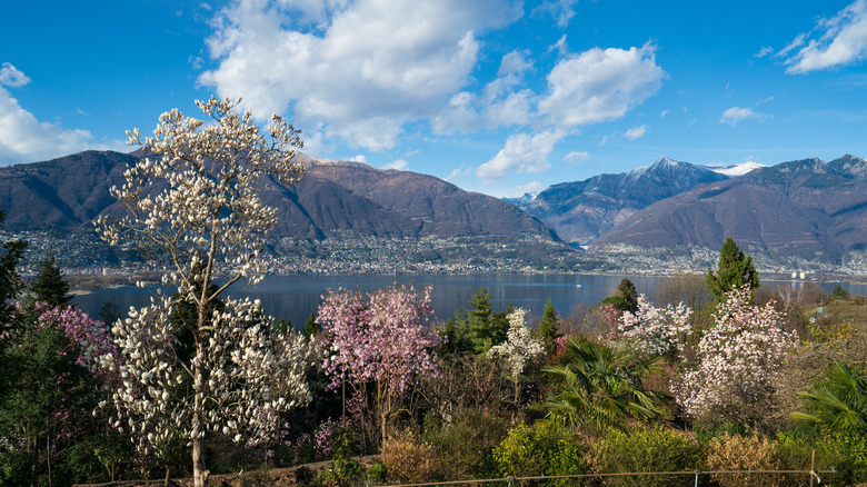 The botanical park in Gambarogno, Switzerland