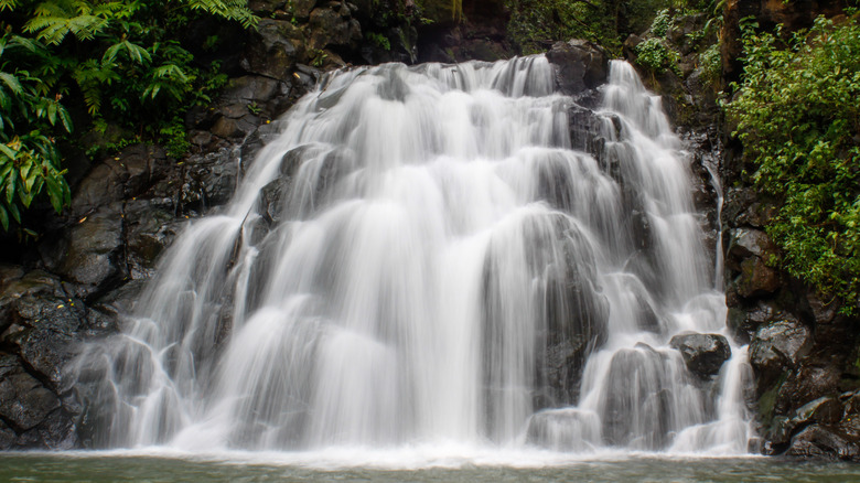 Waterfall in Oahu