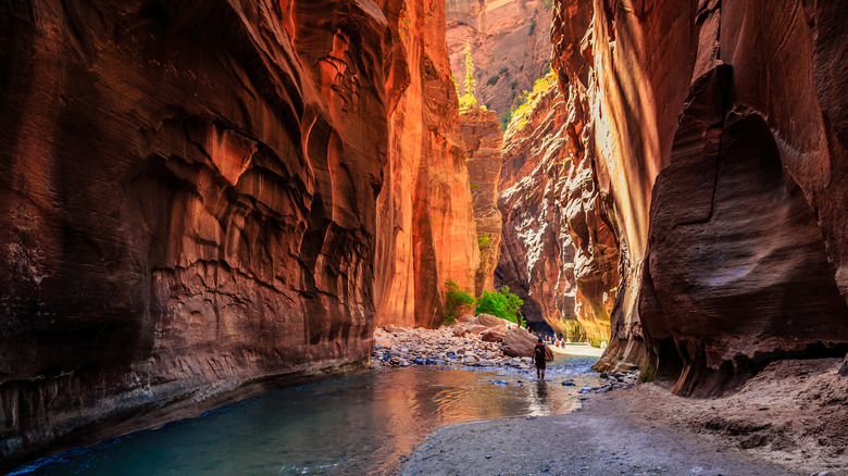 The Narrow of Zion Canyon, Utah
