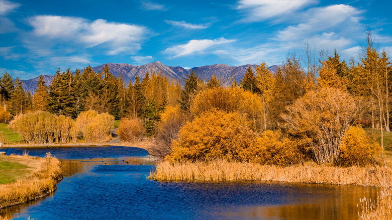 Lake surrounded by fall foliage
