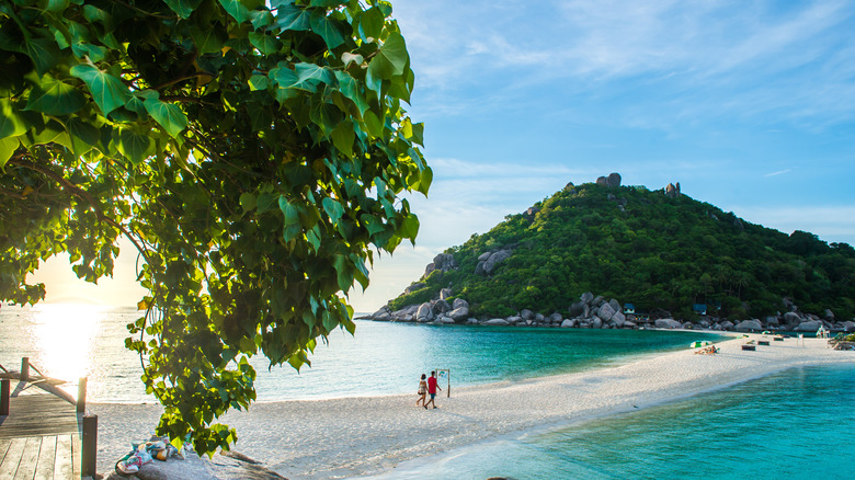 Shoreline in Koh Tao, Thailand