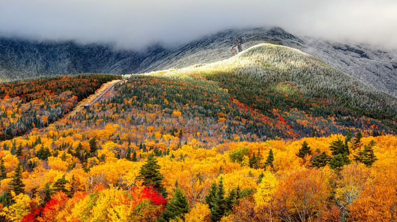 Mount Washington White Mountains