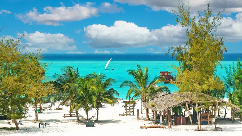 Beautiful beach in Zanzibar, Tanzania