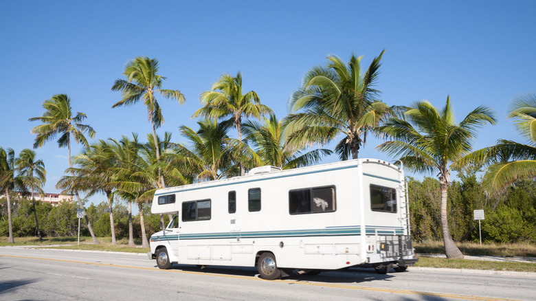 RV driving near palm trees