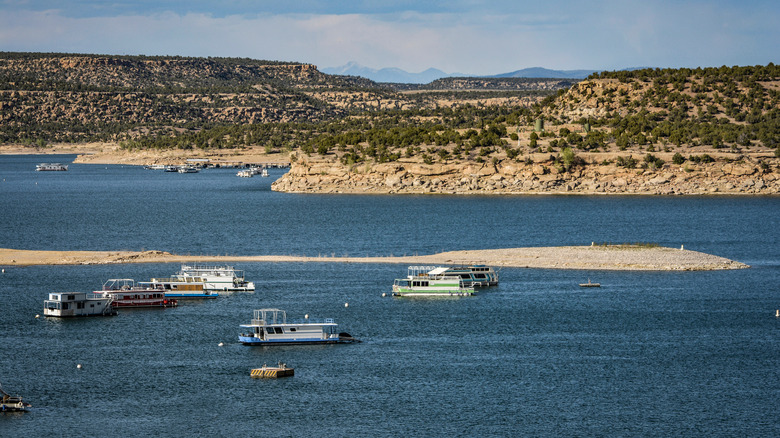 Houseboats on Navajo Lake