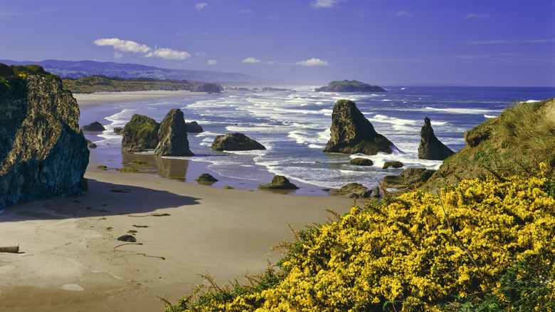 Panoramic view of Bandon Beach