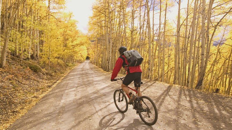 Man cycling through Aspen trees in the fall