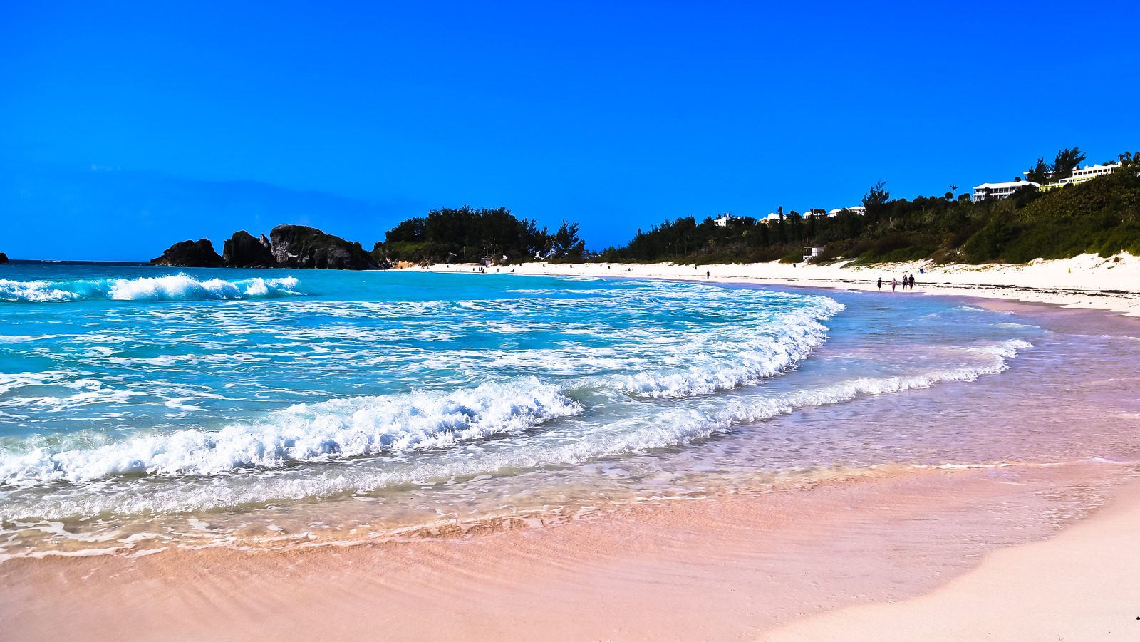 Take In Beautiful Crystal Clear Water And Pink Sand Views At This