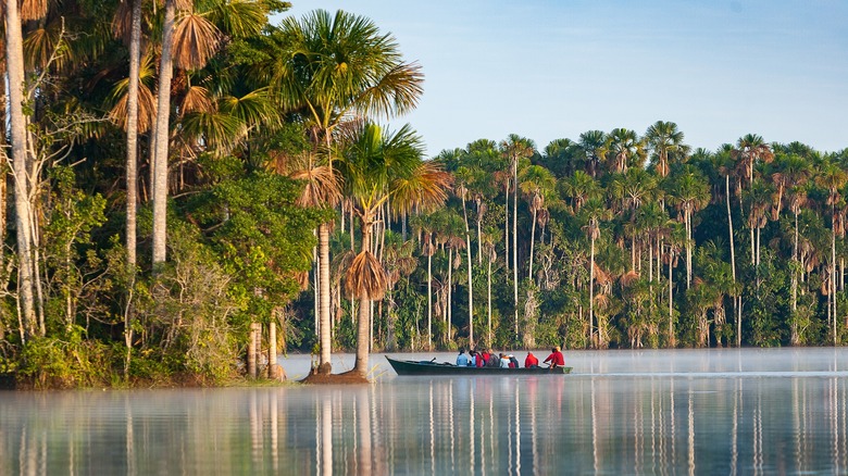 Travelers on boat in the Amazon