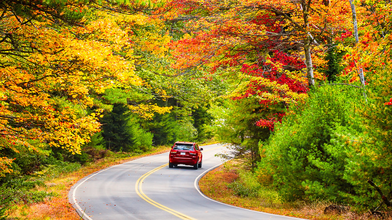 Winding road through fall foliage