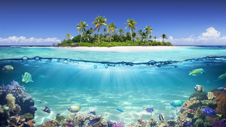 Beautiful view of a tropical island and coral reef.