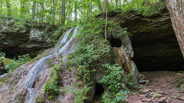 a waterfall next to a cave near Cardwell Mountain Archaeological State Park Tennessee