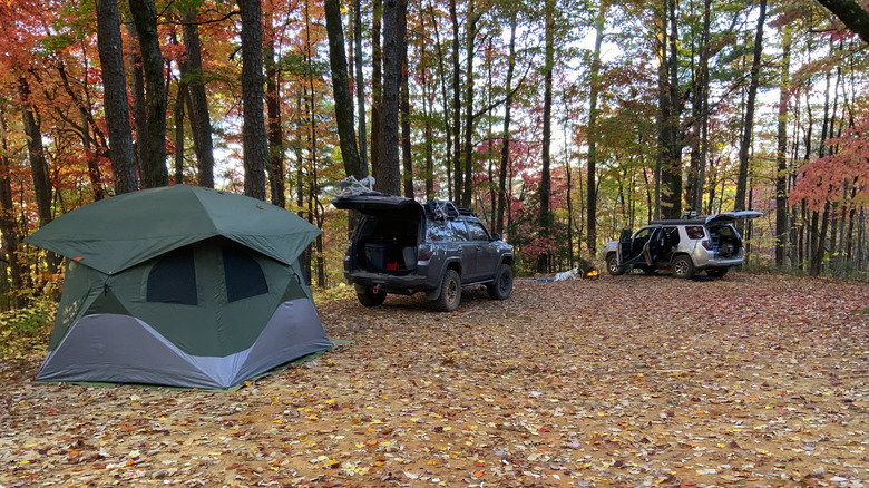 two cars and a tent during autumn