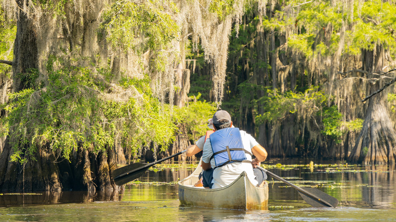 Two people canoeing on a river