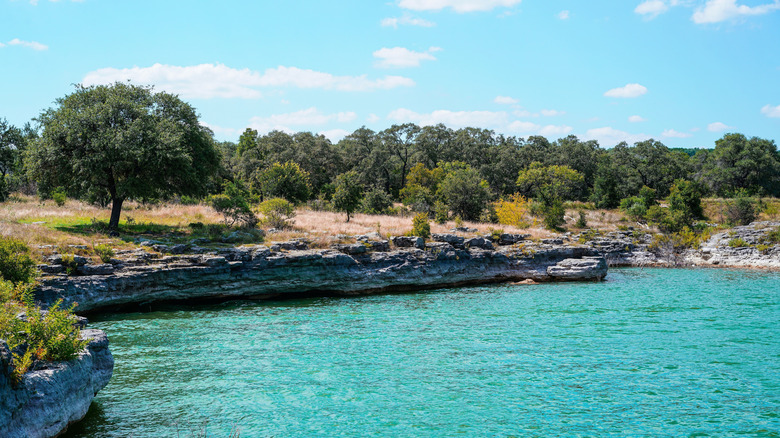A cove on Lake Travis