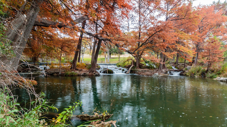 Guadalupe River with trees in fall in Ingram, Texas