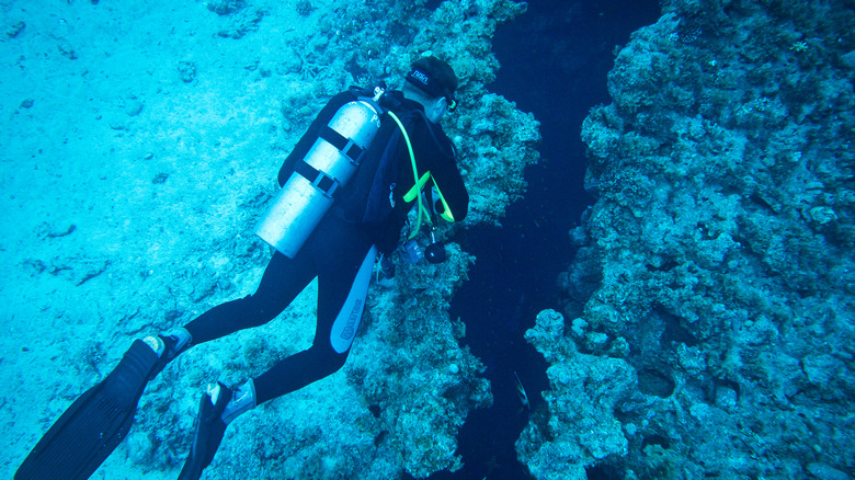 Scuba diver in the Red Sea
