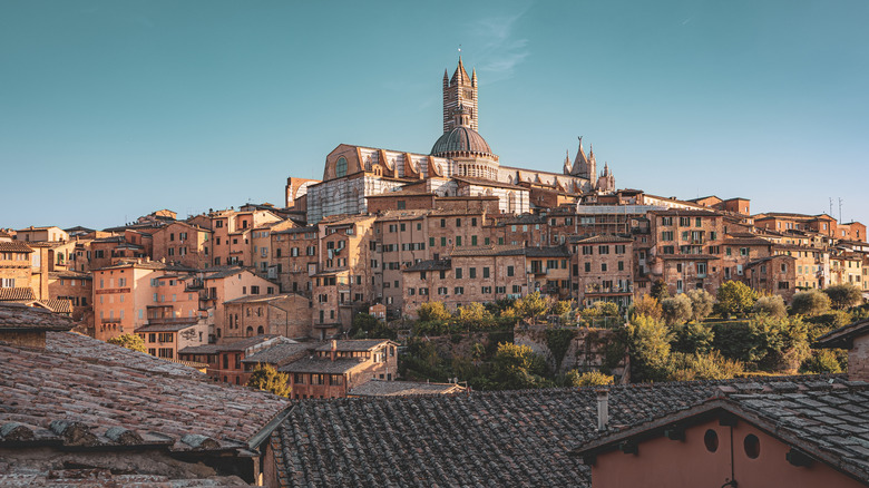 Scenic view of Siena's historic skyline at golden hour