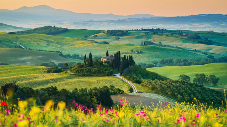 idyllic Tuscan landscape during sunrise,