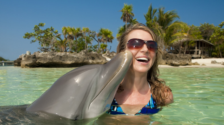 person swimming with dolphin