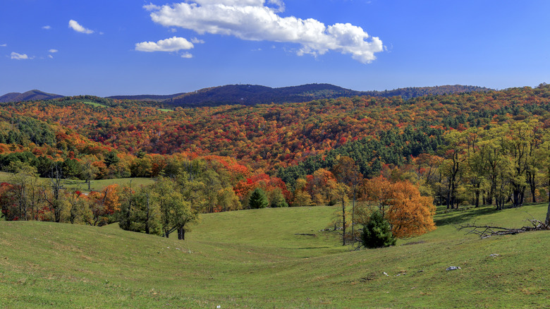 Autumn colors at Doughton Park, Blue Ridge Parkway, North Carolina
