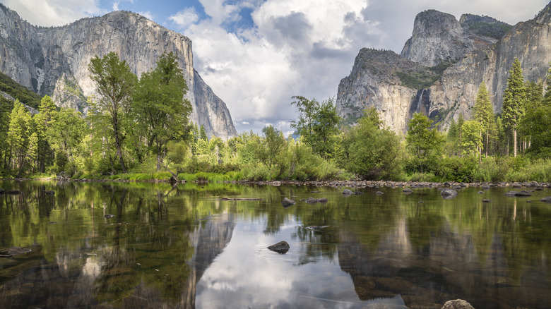 Yosemite Valley flanking a river within Yosemite National Park