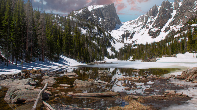 Rocky Mountain National Park mountain forest