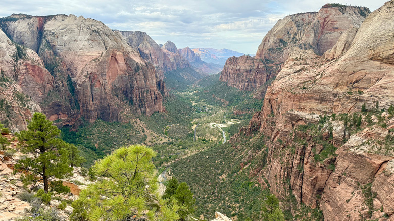 Zion National Park mountain vista