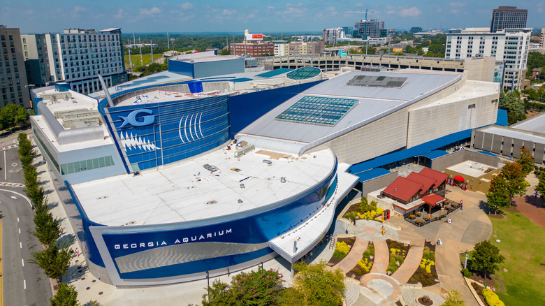 Looking down on the blue and white Georgia Aquarium in Atlanta